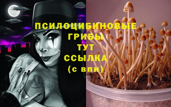 спайс Алексеевка