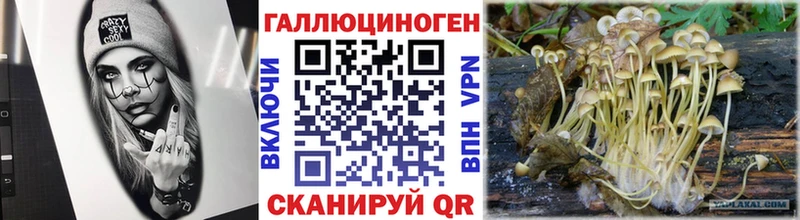 как найти закладки  Спасск-Рязанский  Псилоцибиновые грибы Magic Shrooms 